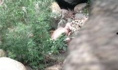 今日爆料北京怀柔苏峪口,北京隐秘的自然秘境新发现